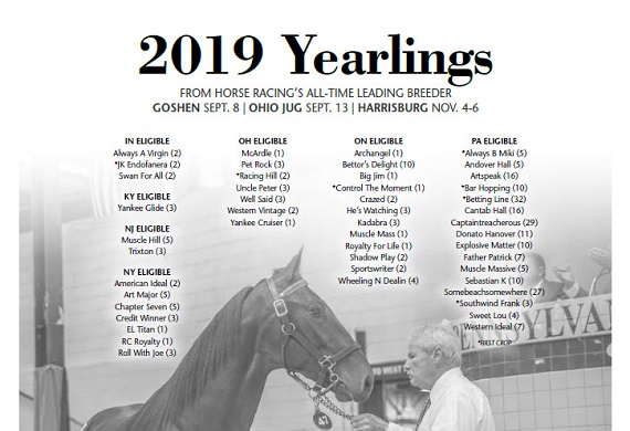 2019 Yearlings